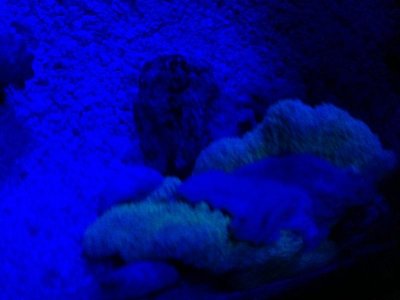 IMG_3767.jpg