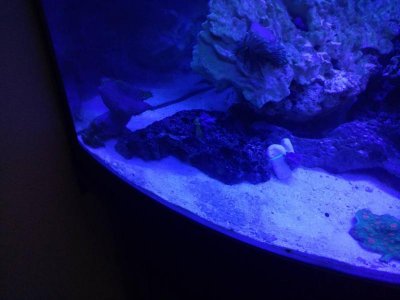 IMG_20170312_112020300.jpg