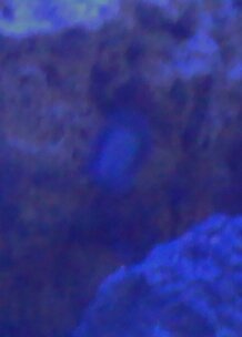 IMG_20170312_144854.JPG