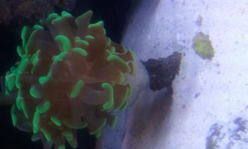 20170305_193400.jpg