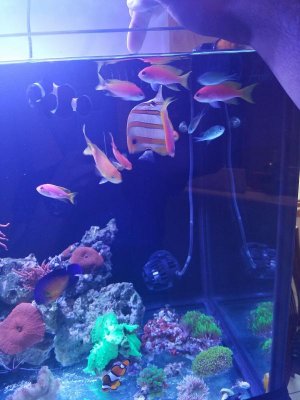 20170227_163232.jpg