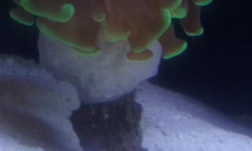 20170305_193138.jpg