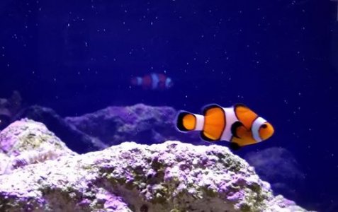 17103322_10212132915861033_7494300515798126647_n.jpg