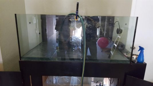 Water Going In.jpg