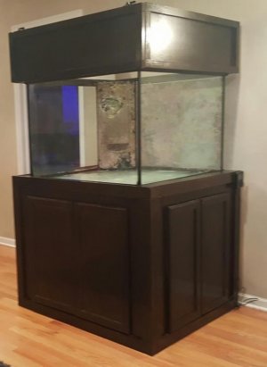 20170306_165023.jpg