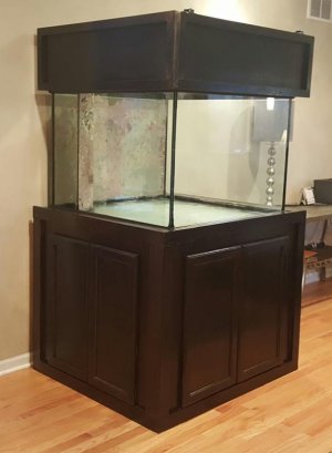20170306_165048.jpg