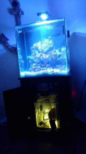 IMG_20170204_171246458.jpg IMG_20170204_171246458.jpg