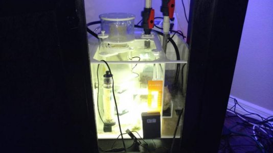 IMG_20170118_150853425.jpg IMG_20170118_150853425.jpg