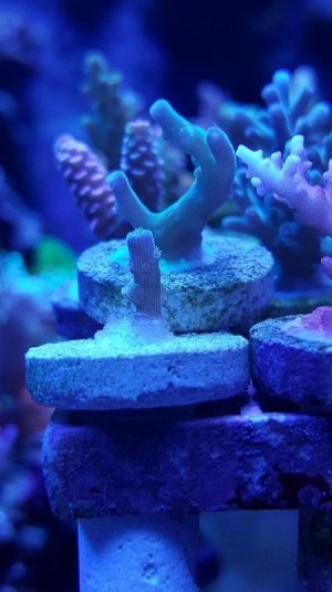 20170304_180229-600x1067.jpg