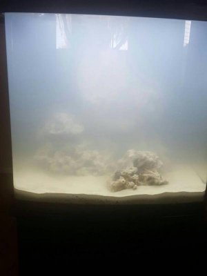 20170312172258.jpg