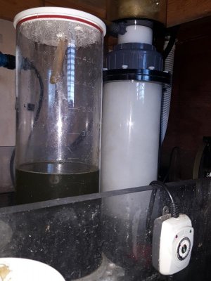 20170315_080611.jpg