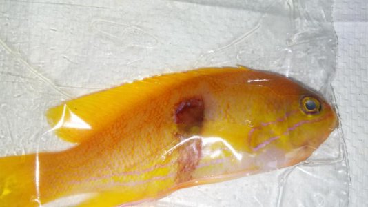 20170313_105833.jpg