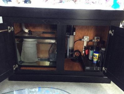 IMG_7248.jpeg
