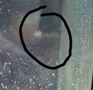 20170423_111219.jpg