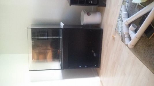 20170317_090434.jpg