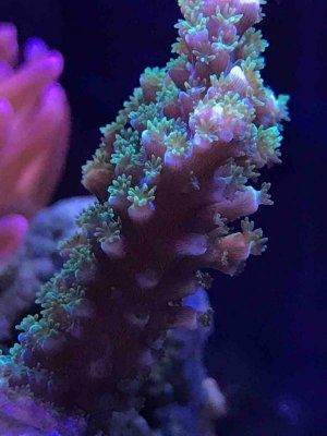 IMG_1470.jpg