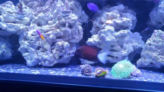 20170425_202644_HDRv2.jpg