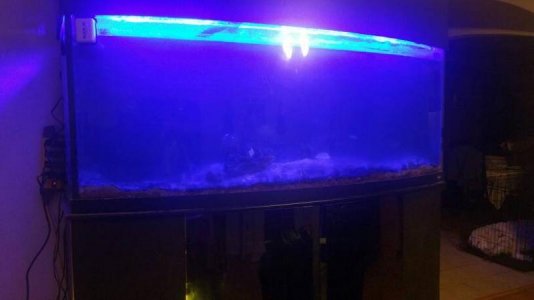 20170425_221949.jpg