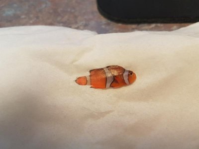 20170425_090753.jpg