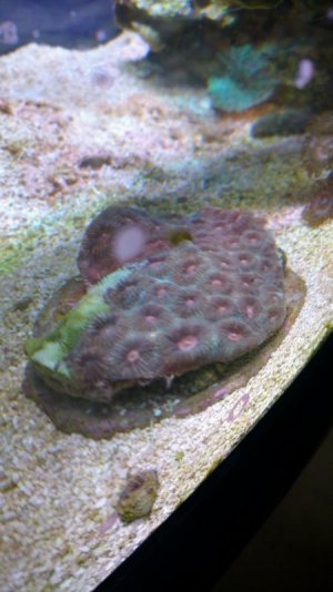 IMG_2047.jpg