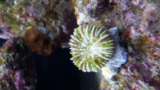 20170319_110652.jpg