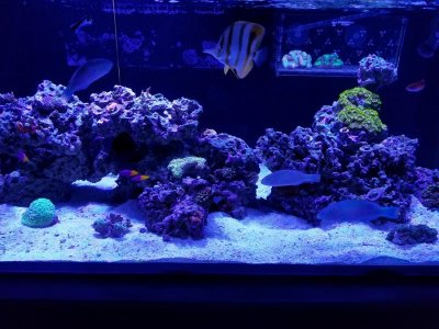 20170427_133956.jpg
