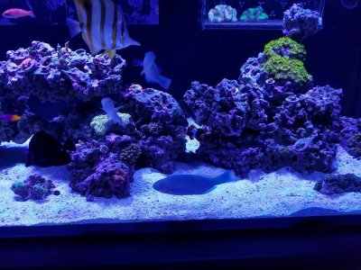 20170427_134000.jpg