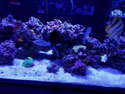 20170427_134003.jpg