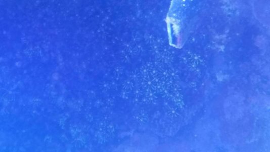 20170427_203911.jpg 20170427_203911.jpg