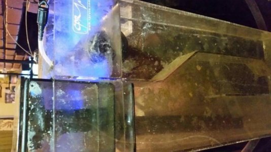 20170427_203346.jpg 20170427_203346.jpg