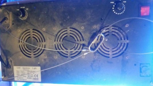 20170427_203853.jpg 20170427_203853.jpg