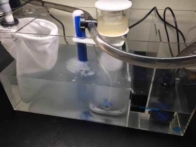 IMG_4029.jpg IMG_4029.jpg