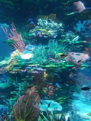 IMG_0538.jpg IMG_0538.jpg