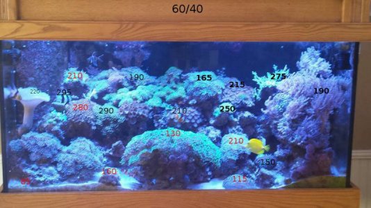 par_reefbreeders_60_40.jpg
