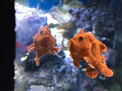 IMG_0421.jpg