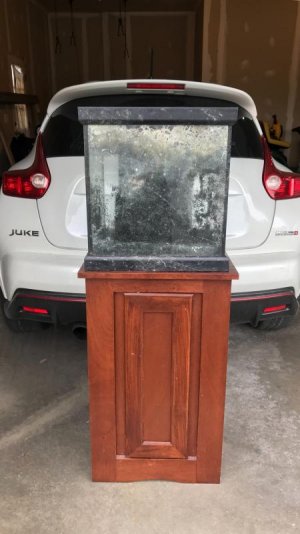 IMG_4140.jpg IMG_4140.jpg