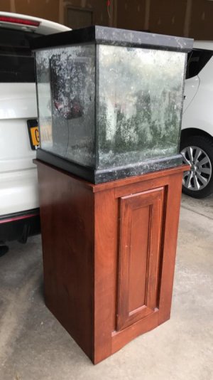 IMG_4141.jpg IMG_4141.jpg