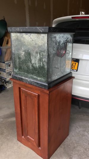 IMG_4145.jpg IMG_4145.jpg