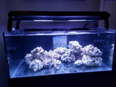 20170323_075934.jpg