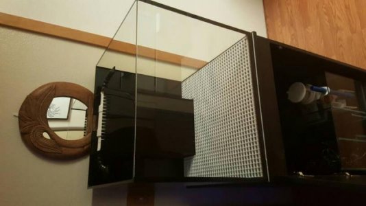 20170323_211758.jpg 20170323_211758.jpg