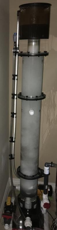 lifereef skimmer after 3 days.jpg