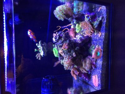 IMG_6626.jpg