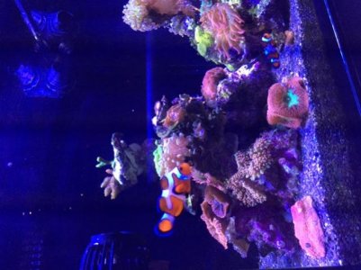 IMG_6628.jpg