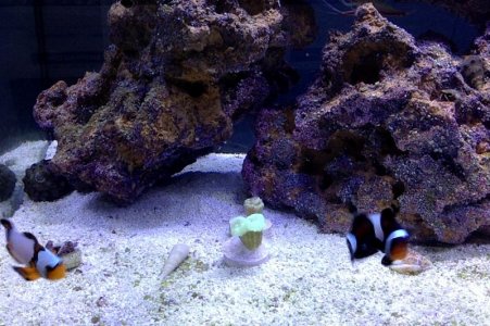 Photo on 5-1-17 at 12.41 PM.jpg