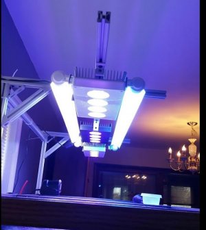 lights.JPG