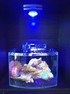 IMG_0128.jpg
