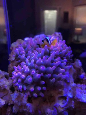 IMG_0971.jpg