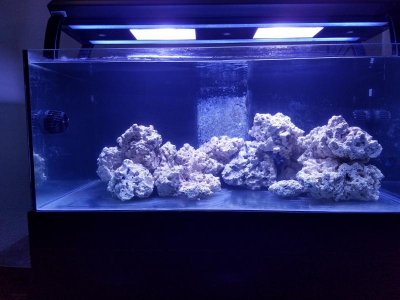 FTS 3-25-17.jpg