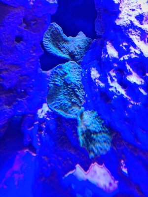 IMG_0369.jpg