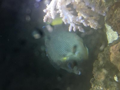 IMG_1976.jpg